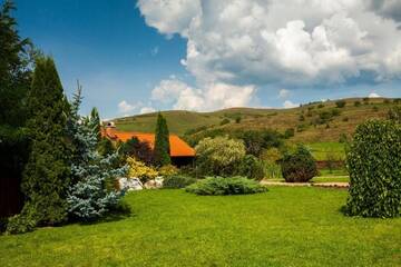 Фото номера Вилла Гостевой дом Vila Transylvania г. Георгени 42